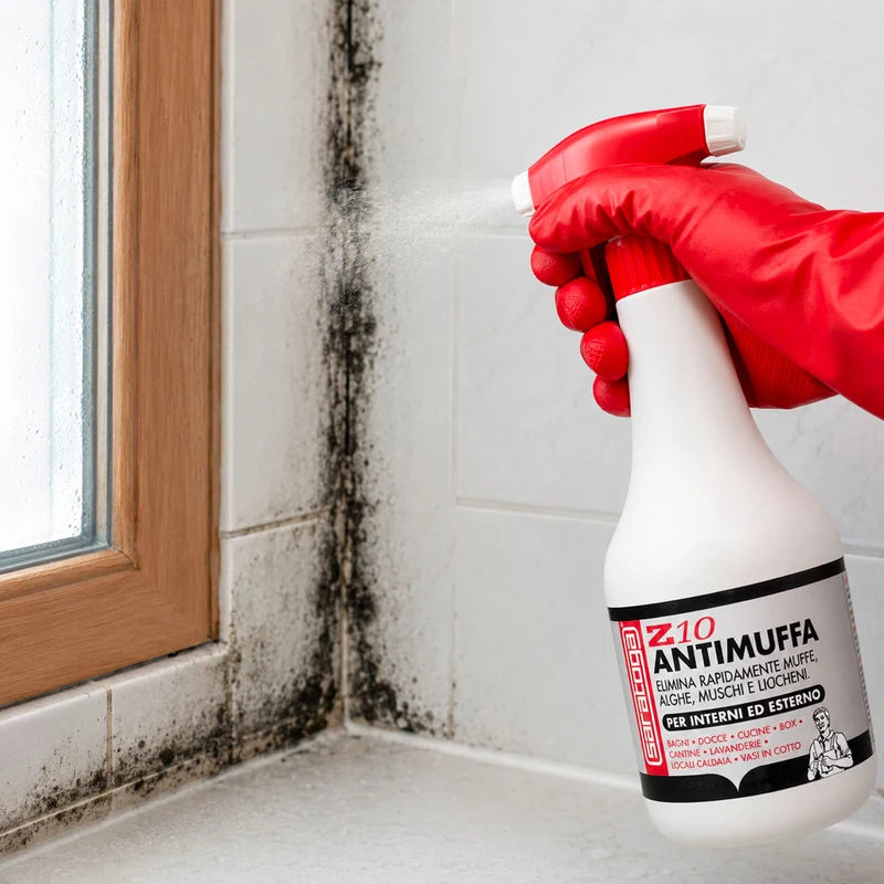 SARATOGA Z10 Spray Antimuffa LT 1
