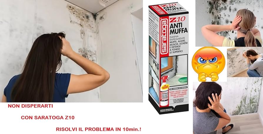 SARATOGA Z10 Spray Antimuffa LT 1